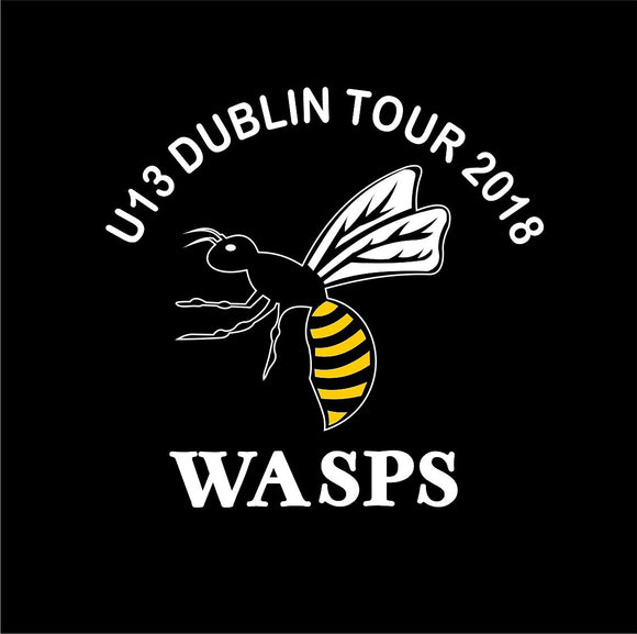 Wasps FC