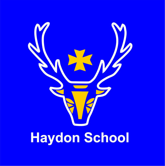 Haydon School
